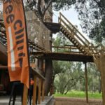 Salisbury Tree Climb
